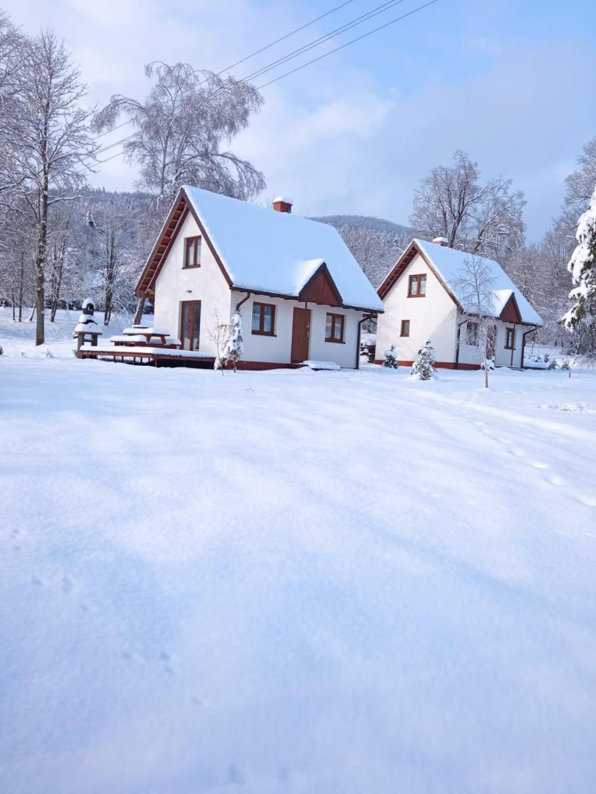 Bieszczadzkie Brzegi Daire Ustrzyki Dolne Dış mekan fotoğraf