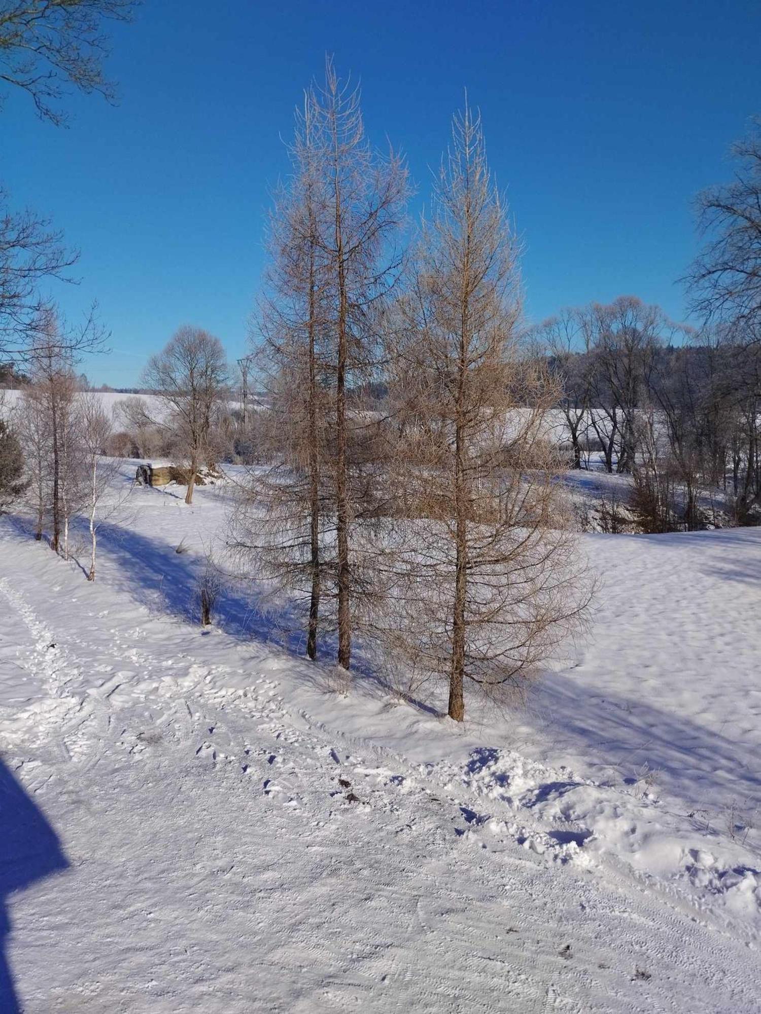 Bieszczadzkie Brzegi Daire Ustrzyki Dolne Dış mekan fotoğraf